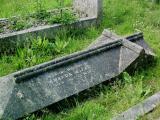 image of grave number 489010